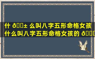 什 🐱 么叫八字五形命格女孩「什么叫八字五形命格女孩的 🐕 命运」